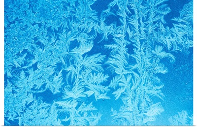 Elegant pattern of frost on window