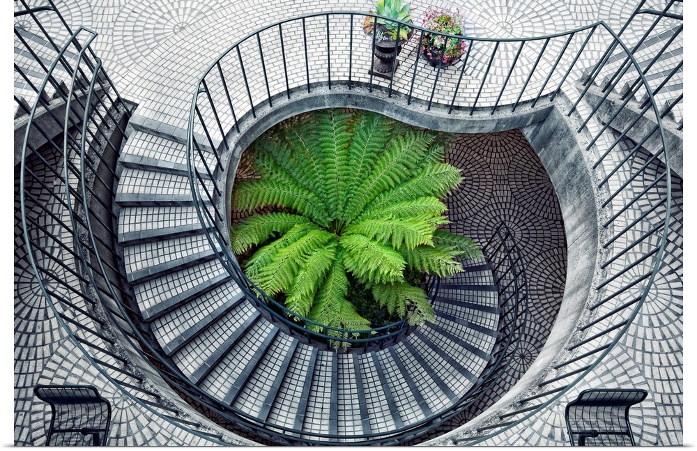 Spiral stairs surround green fern.