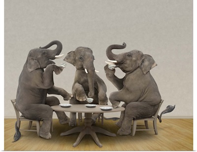 Elephants having tea party