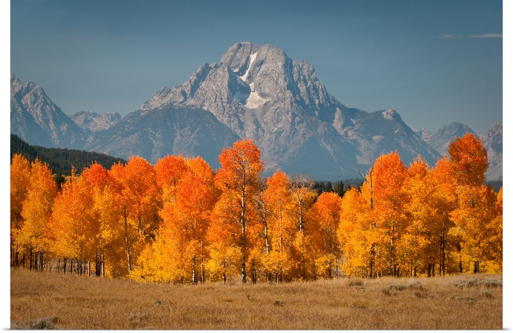 Autumn colors arrive at Oxbow Bend in Grand Teton National Park.
