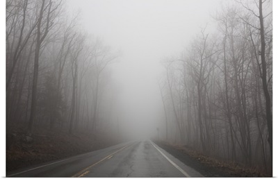 Empty foggy road in central Pennsylvania.