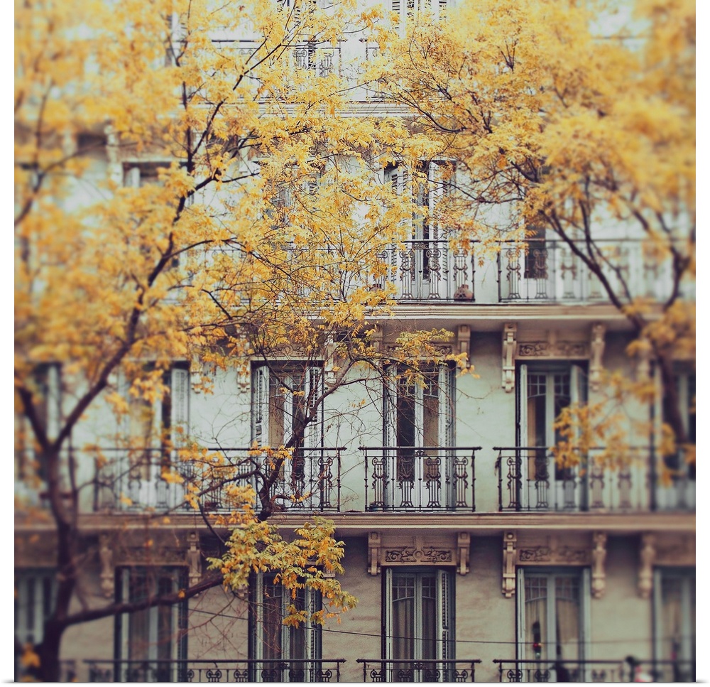 Facade of a c. 19th Century tenement house in central Madrid, in foreground trees with withered leaves in autumn.