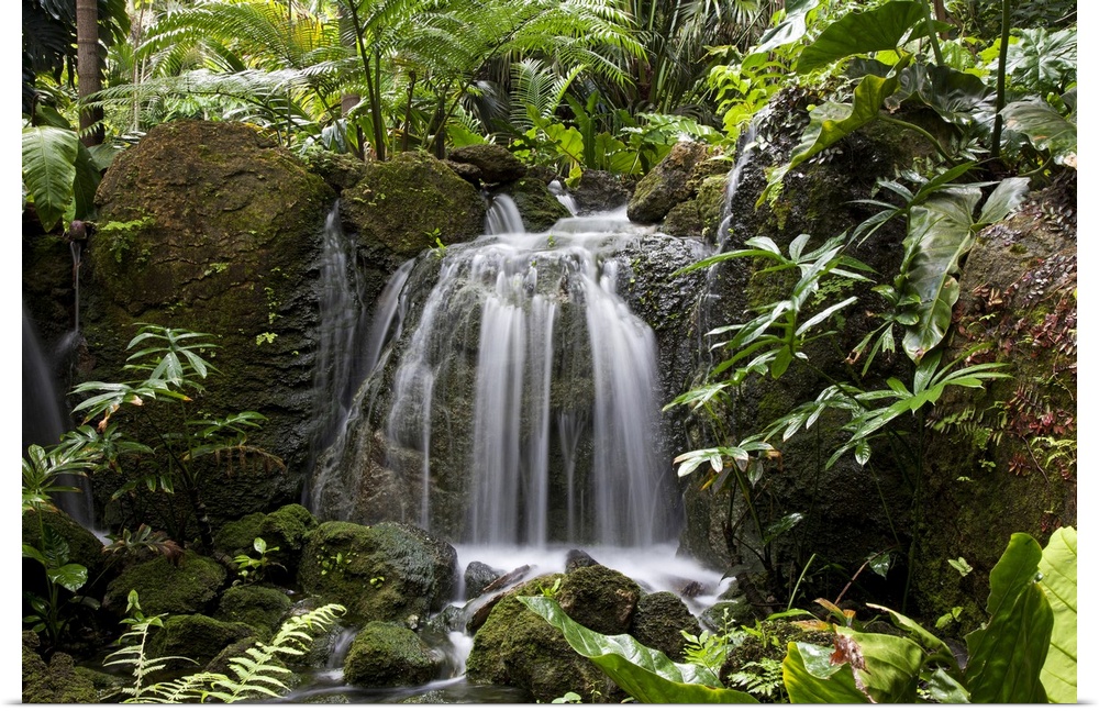 Fairchild Tropical Botanic Garden is a 33 ha (83 acre) botanic garden, with extensive collections of rare tropical plants ...