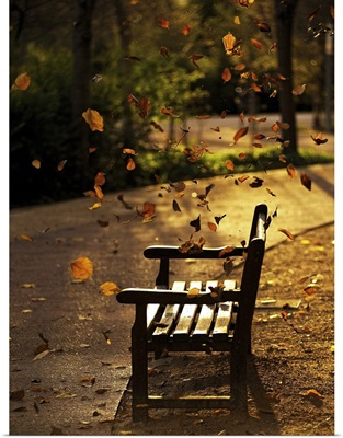 Fall leaves on park bench.
