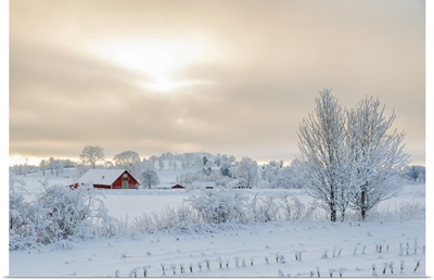 Farm In A Rural Winter Landscape With Snow And Frost