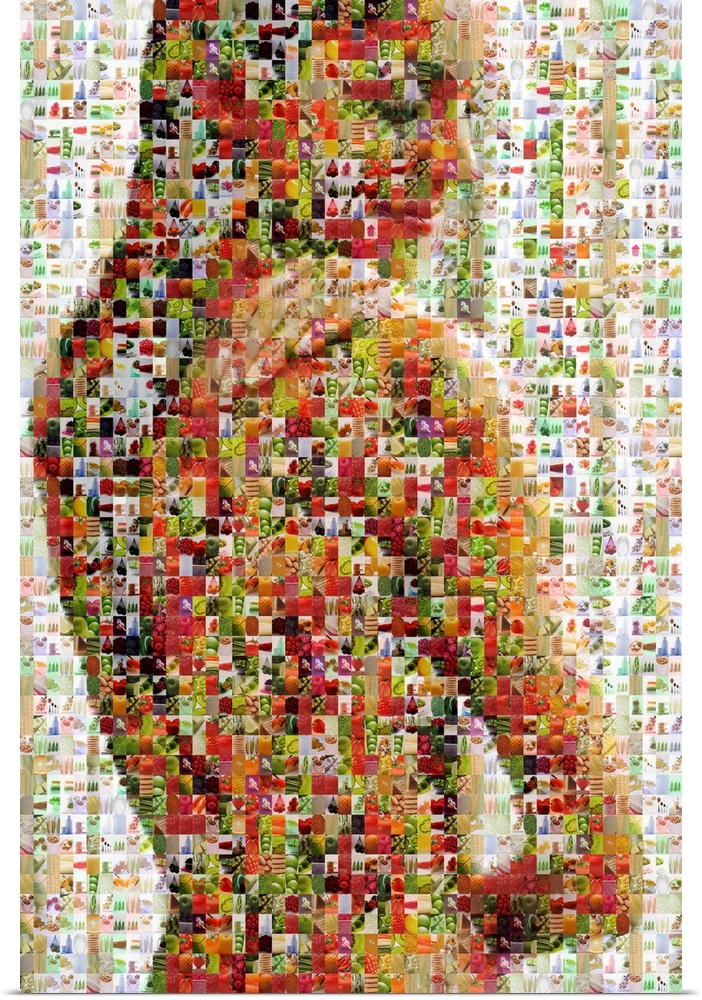 Vertical, oversized art of a female figure that is made up of very small pictures of healthy food.