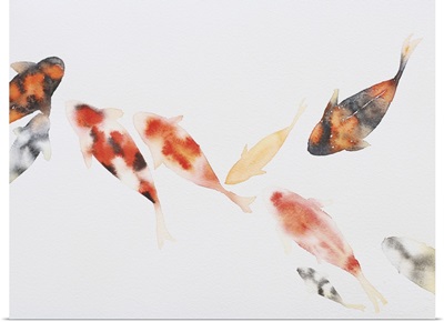Fish Painting With Watercolor On White Paper