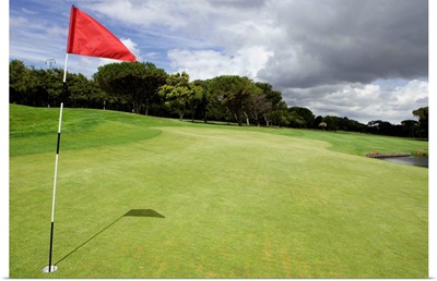 Flag on golf course