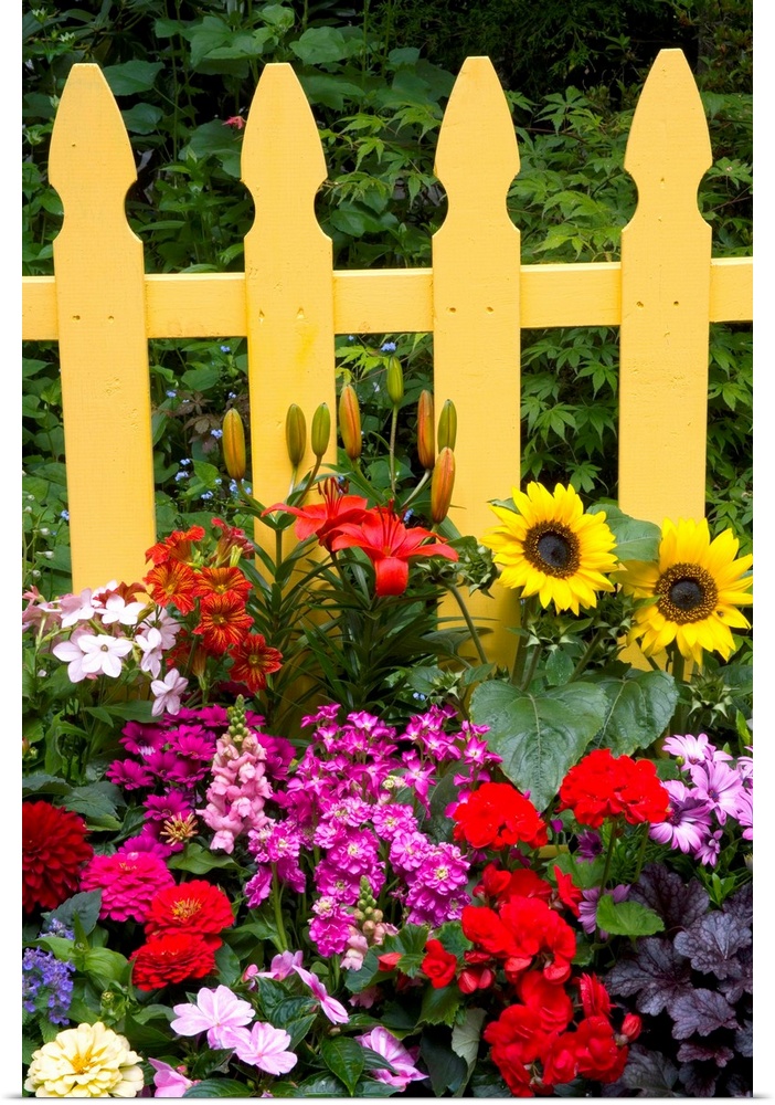 Flower Garden And Picket Fence