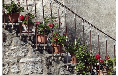 Flowering red geranium potplants, on the stairs on an old medieval house.