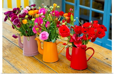 Flowerpots on a table, Dinan, France