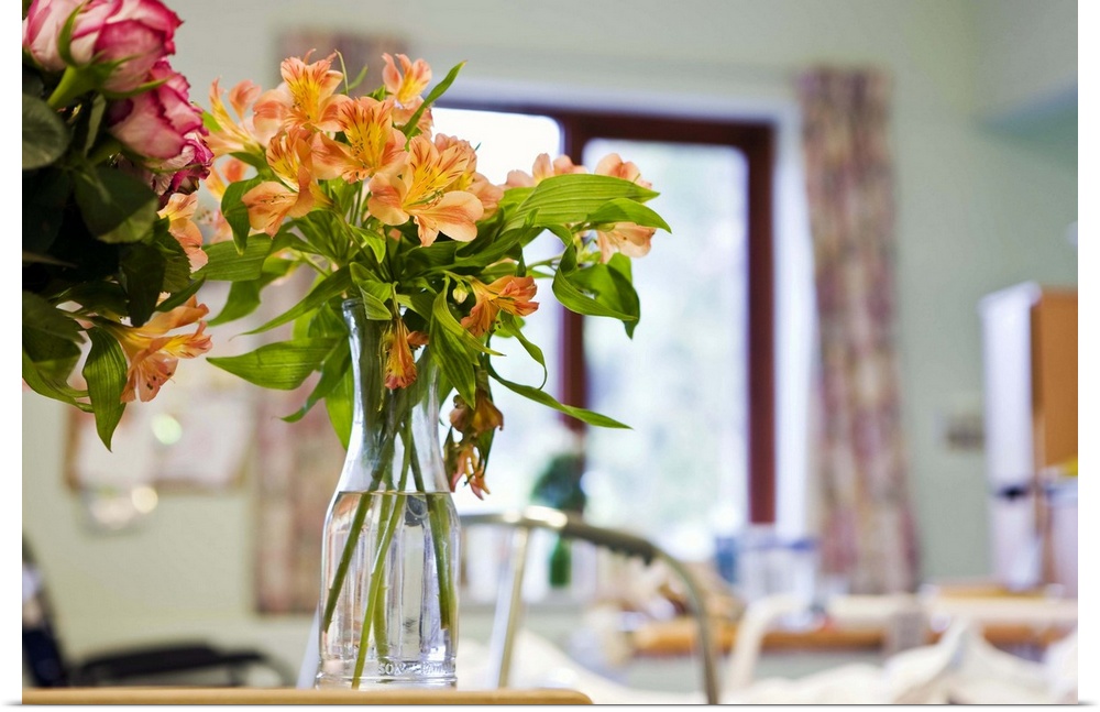 Flowers in vases in hospital room