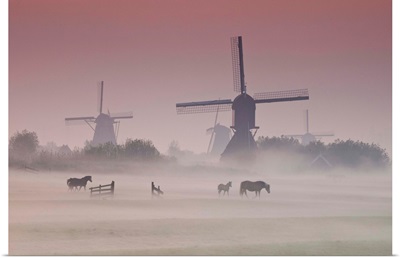 Fog With Silhouetted Windmills And Horses In Field Kinderdijk, Netherlands