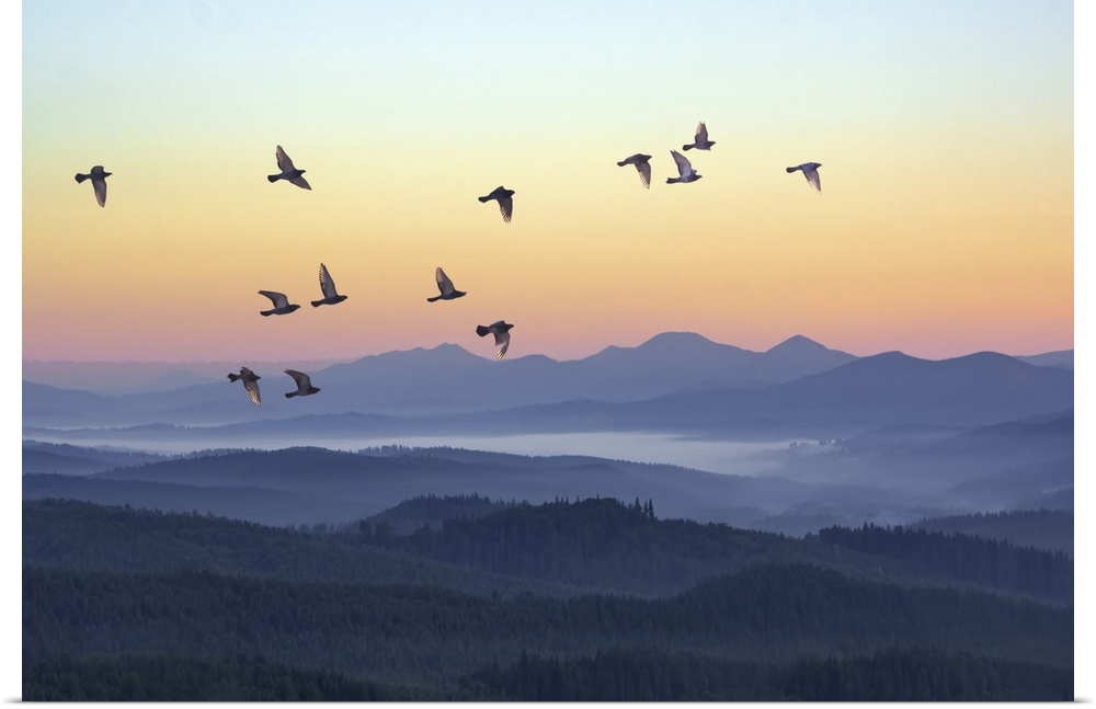 Foggy morning in the mountains with flying birds over silhouettes of hills.