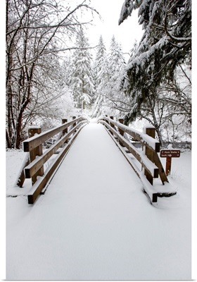 Footbridge Covered In Snow, Silver Falls State Park, Oregon