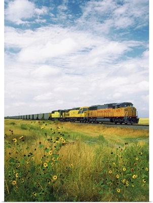 Freight train passing through a field, North Dakota, USA