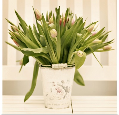 Fresh tulips presented in vintage plant bucket at home.