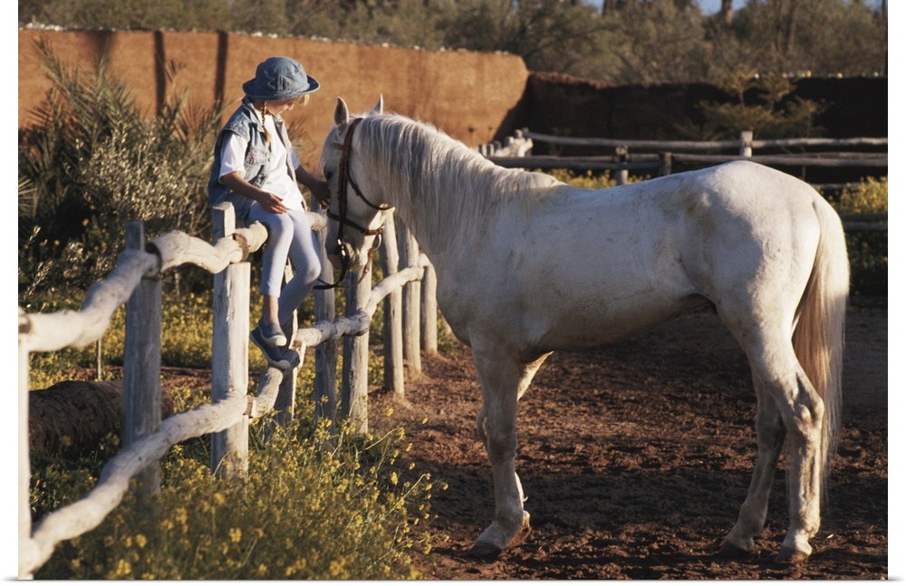 Girl (6-7) sitting on fence, patting horse