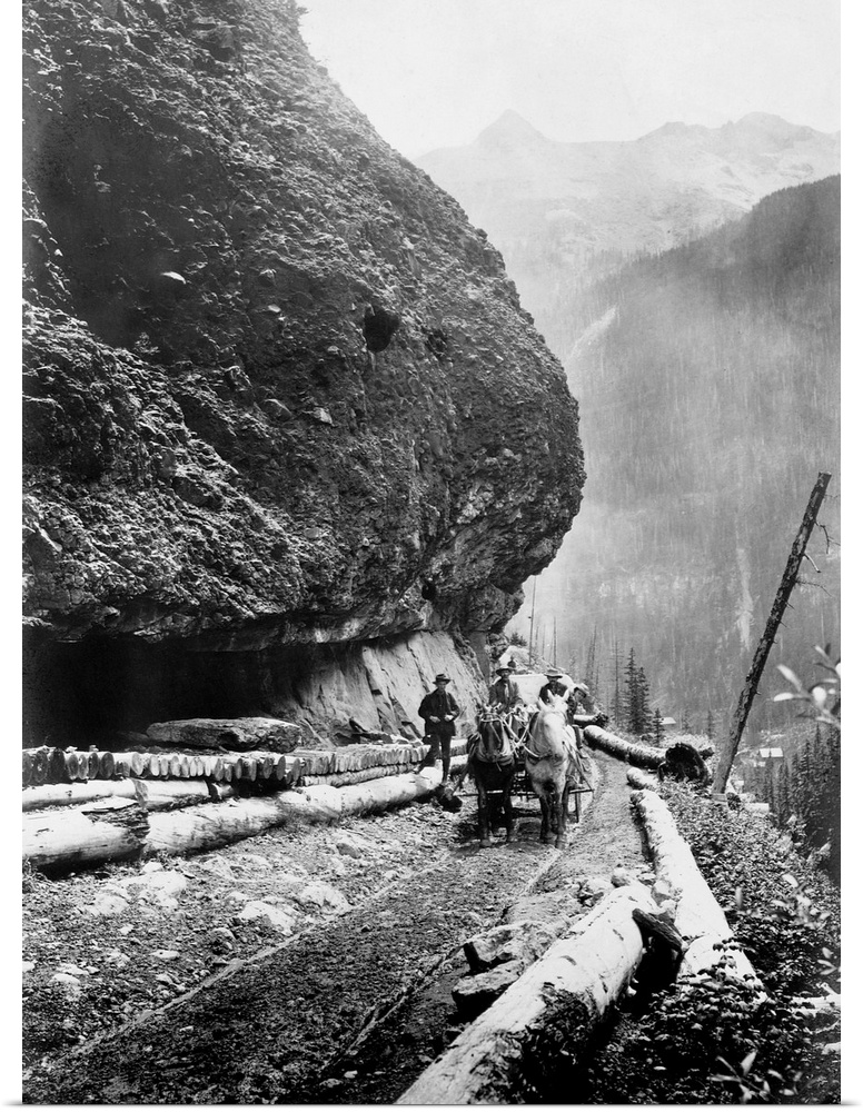 Gold miners drive a wagon down a primitive road in the vicinity of Thomas F. Walsh's gold mines, Ouray, Colorado.