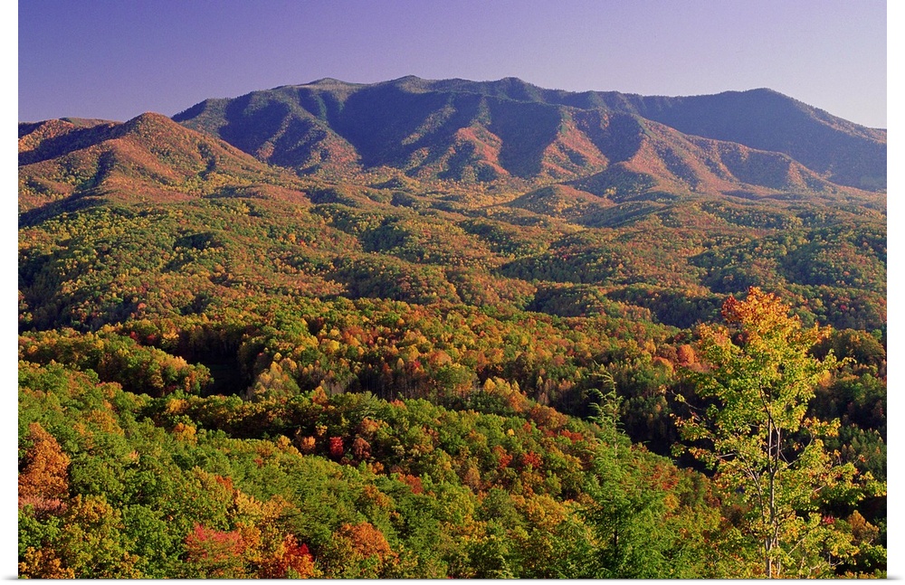 Great Smoky Mountains NP, Tennessee, USA