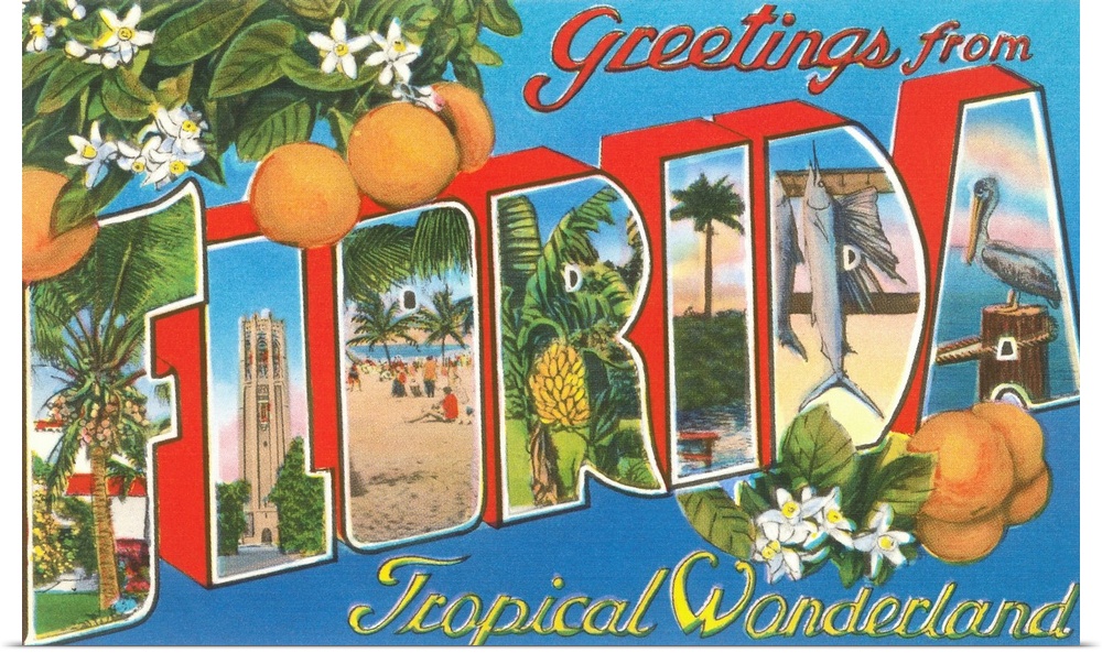 Greetings from Florida, Tropical Wonderland, large letter vintage postcard