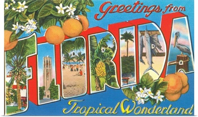 Greetings From Florida, Tropical Wonderland
