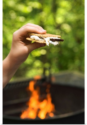 Hand holding smores