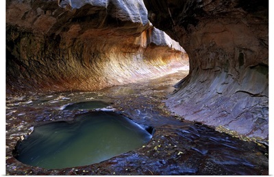 Heart Pool in Zion National Park