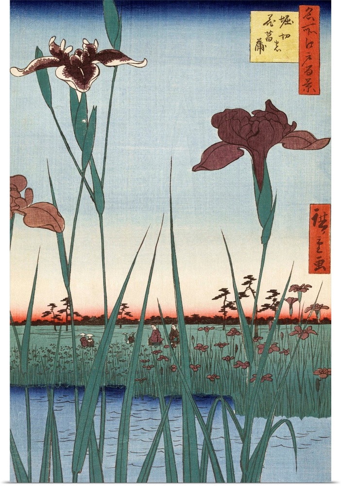 Utagawa Hiroshige (Japanese, 1797-1858), Horikiri no hanashobu (Horikiri Iris Garden), ukiyo-e woodblock print, 1857. Prin...