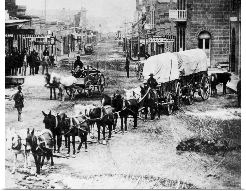A 10-horse team pulls covered wagons down the main street of Helena, Montana, in June 1870 after the discovery of gold the...