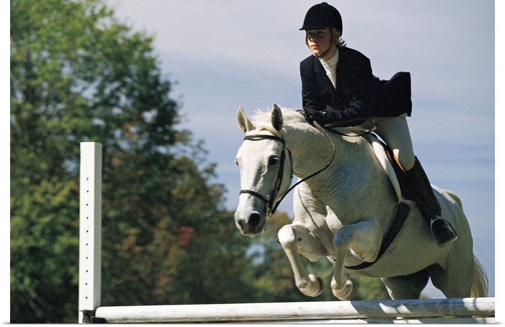 Horse jumping in equestrian event
