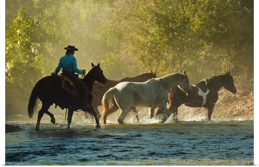 Horseback Rider Herding horses