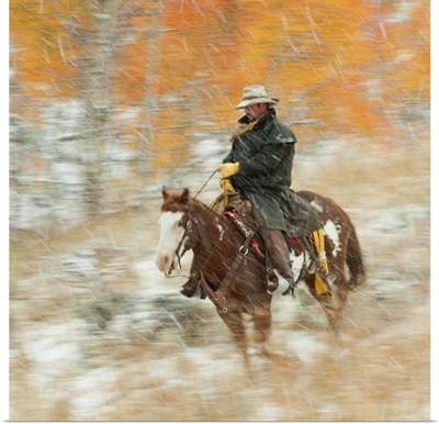 Horseback Rider In Rain