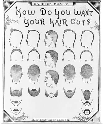 How Do You Want Your Hair Cut? By A. J. Cole