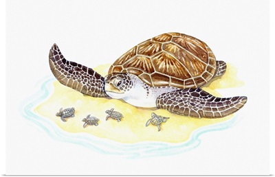 Illustration of sea turtle with babies