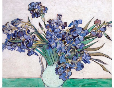 Irises By Vincent Van Gogh