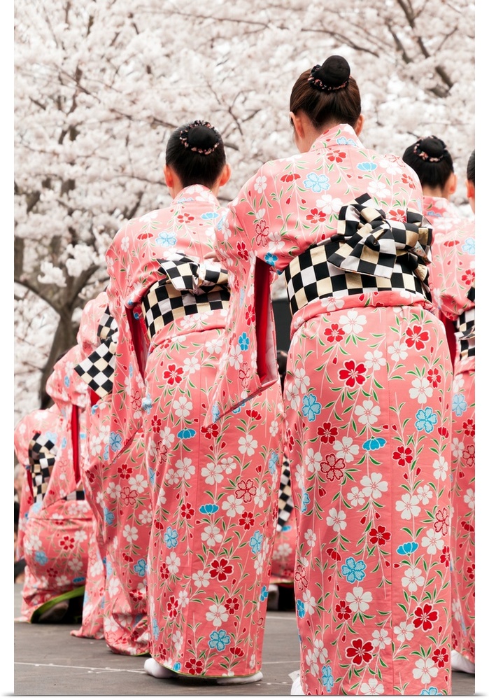 Group of female Japanese dancers in traditional costumes celebrate cherry blossom at spring festival