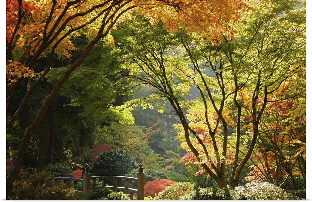 Autumn colors in Portland's Japanese Garden, perhaps one of the most authentic outside of Japan.