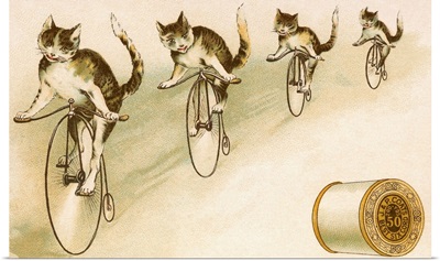 J&P. Coats Trade Card with Cats Bicycling