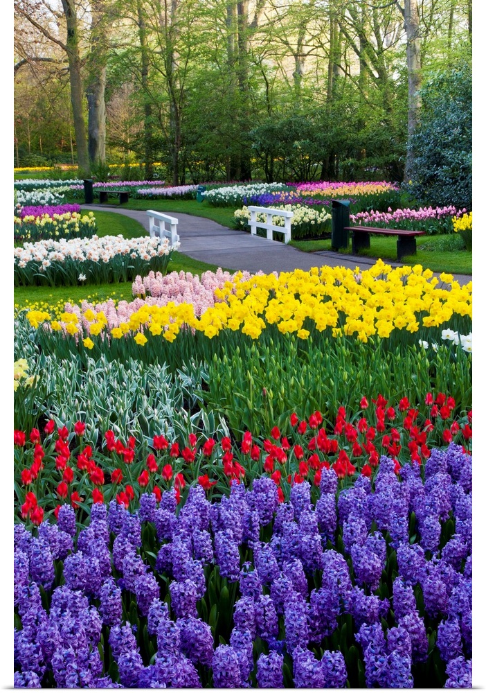 Keukenhof Gardens in full display near Lisse in springtime bloom