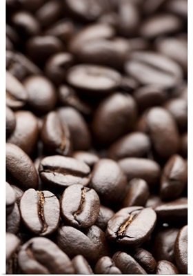 Kona Purple Mountain organic coffee beans