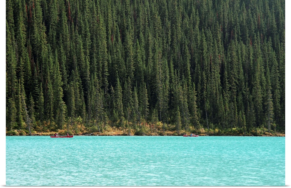 Lake Louise and trees.