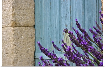 Lavender flower against door.