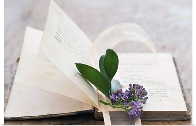 Lavender on open book