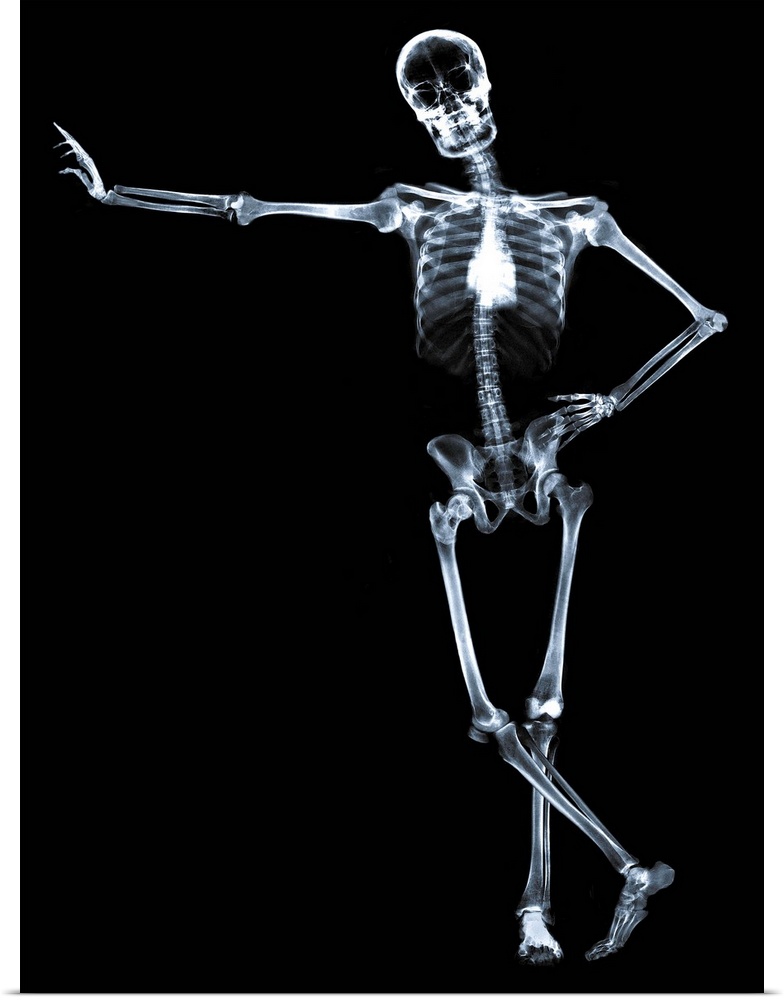 Leaning skeleton against black