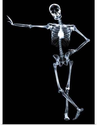 Leaning skeleton against black background