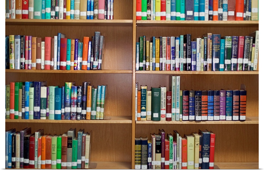 Several rows of books are photographed on library shelves.