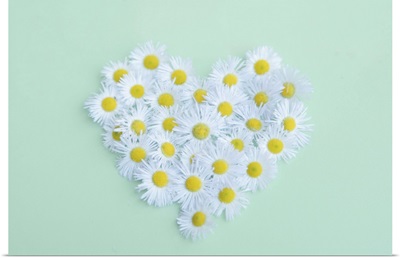 Little daisy in heart shape.