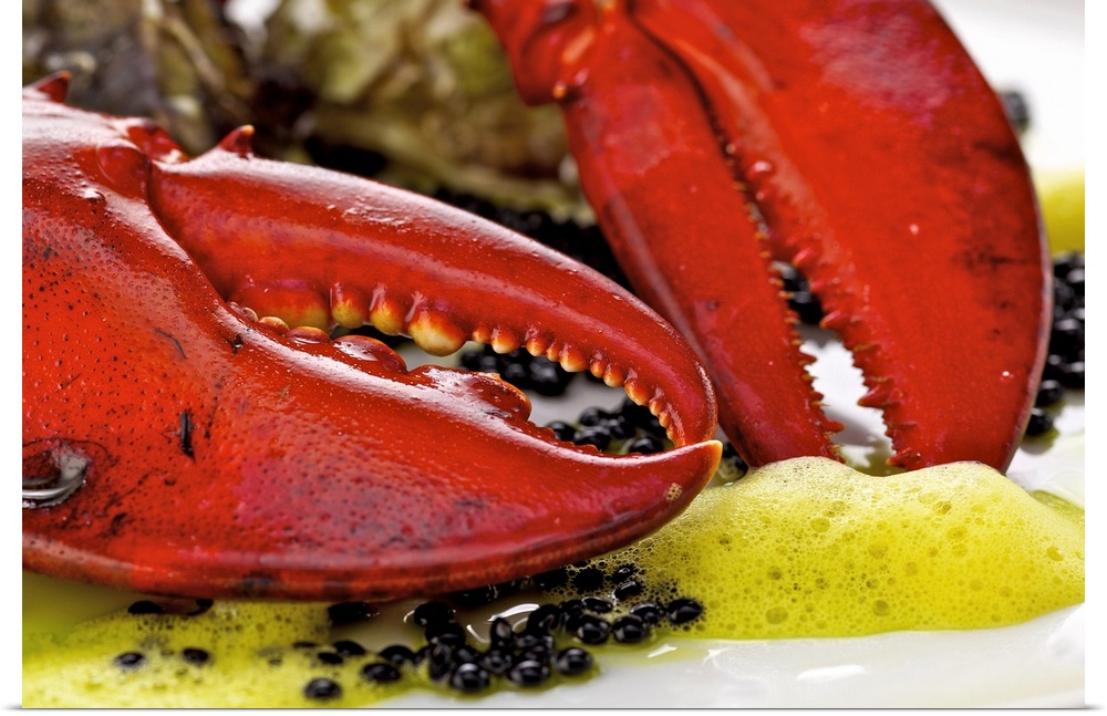 Lobster, caviar and oysters on plate, close-up