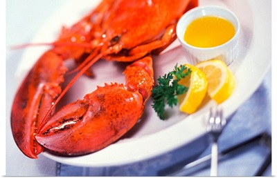 Lobster dinner plate